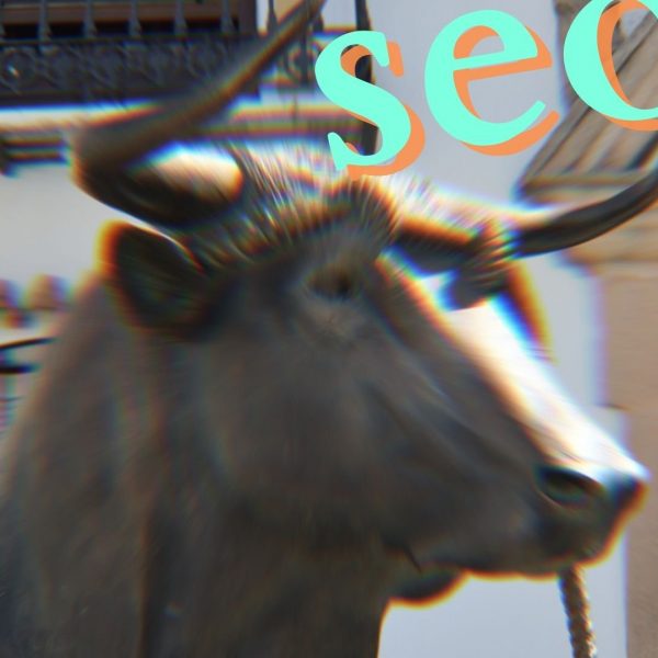 Key Indicators of a Bullish SEO Game | Are you Winning or Just Looking Busy?